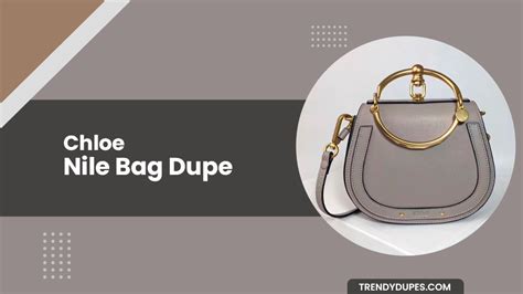 borsa chloe nile replica|Stunning Chloe Nile Bag Dupes Worth Checking Out.